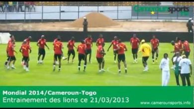 Photo de Mondial 2014/Cameroun-Togo : entrainement des lions du 21/03/03